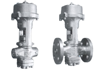 Fujita valves