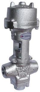 Fujita Valve